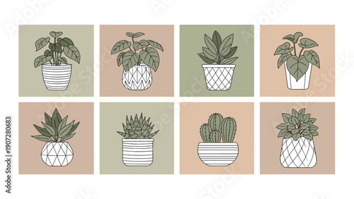 Grid of eight different potted houseplants and succulents in decorative white pots with various geometric patterns on colorful squares.