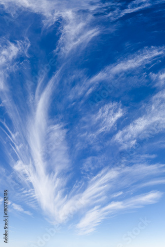 Wallpaper Mural Vibrant Blue Sky With Wispy Cirrus Clouds Over Open Horizon in BC Canada Torontodigital.ca