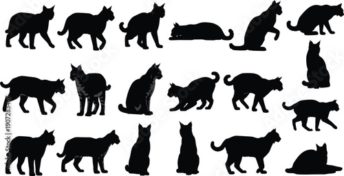 Black silhouette vector illustration of eighteen cats in various poses including walking, sitting, lying, stretching, crouching, feline behavior, design art