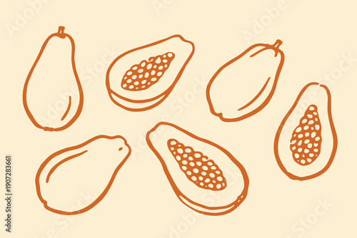 Papaya fruits doodle sketch seamless vector illustration