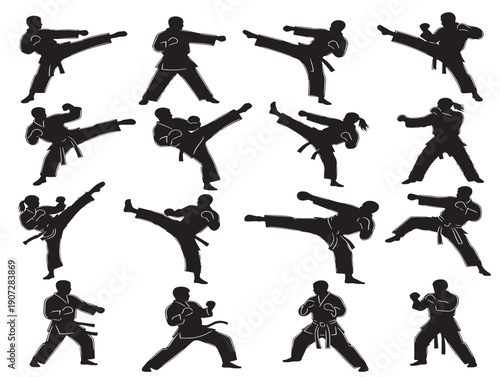 Martial arts silhouette with a dynamic and disciplined combat stance