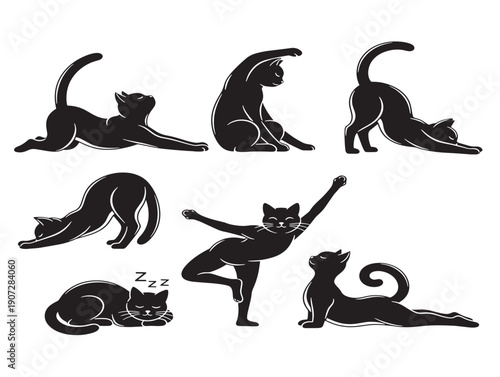 Cat pose silhouette with a cute and curious cat in action