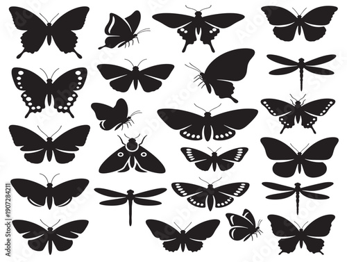 Butterfly insect silhouette with a gorgeous and delicate winged design