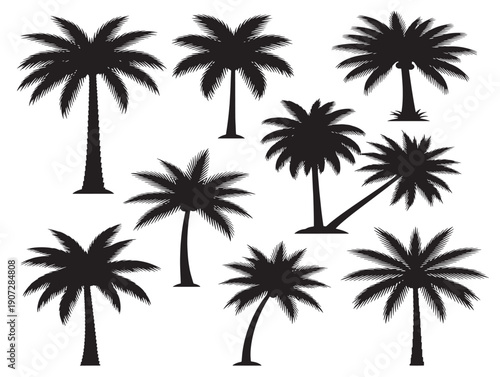 Tropical palm silhouette with an exotic and relaxing design