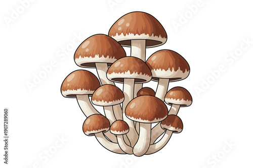Cluster of Honey Mushrooms with Brown Caps