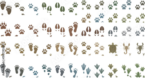 Diverse collection of animal footprints and paw prints are arranged in rows.