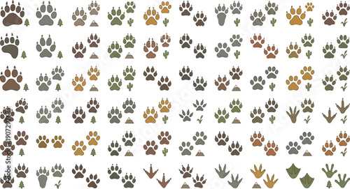 Large assortment of animal paw prints and bird footprints are arranged in a grid.