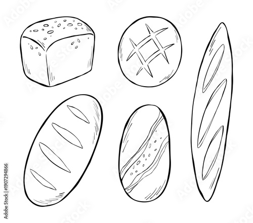 Vector hand-drawn sketch illustration with different types of european bread isolated on a white background. Outline ink drawing of bakery assortment for menu, advert, logo, or web. 