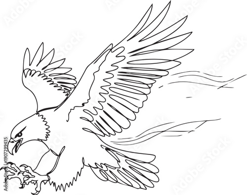 A detailed line drawing depicts an eagle in mid flight with outstretched wings