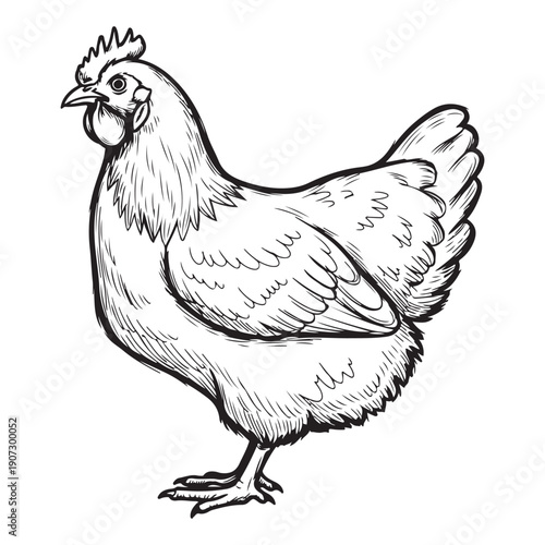 chicken silhouette vector file
