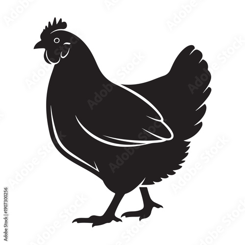 rooster isolated on white background