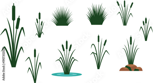 Green Cattail and Bulrush Plant Icon Set Featuring Marsh Grass Reed Silhouettes for Wetland Nature Conservation Pond Landscaping and Aquatic Ecosystem