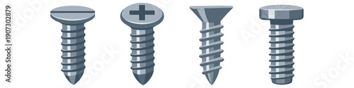 Collection of four different types of metal screws on a white background