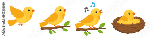 Cute yellow bird in different poses: flying, sitting, singing, and in a nest