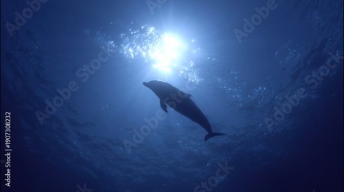 Dolphin Swims Away in Deep Blue Water as Light Filters From Above
