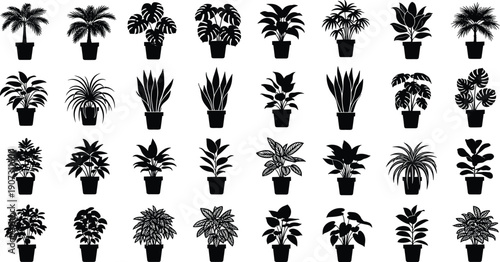 Silhouette Vector Set of Various Potted Houseplants Featuring Monstera Snake Plants Palms and Ferns for Interior Decoration and Home Gardening