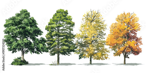 A beautiful illustration of trees in various stages of autumn foliage