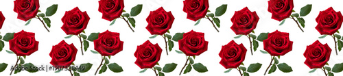 Pattern of Vivid Red Roses in Full Bloom