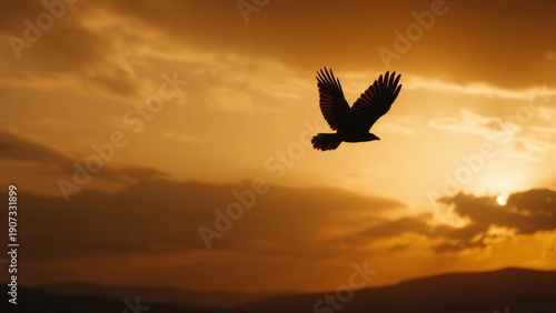 Eagle soars against sunset sky