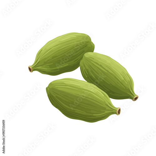 Wallpaper Mural Green Cardamom Pods Flat Vector Illustration Torontodigital.ca