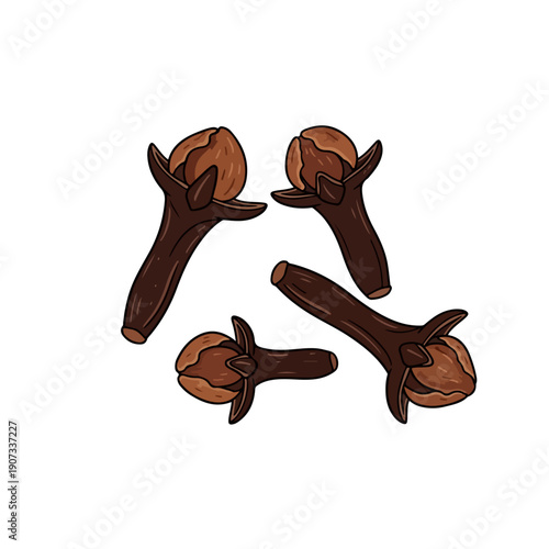 Cloves Spice Realistic Flat Vector Illustration