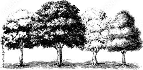 Four seasons allegory quartet composition in vintage botanical style