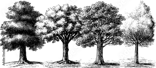 Four seasons allegory with symbolic tree figures in vintage botanical style for design