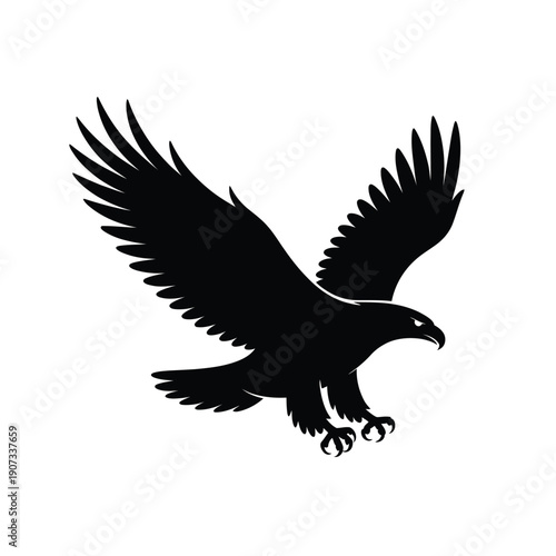 Black Eagle Flying Silhouette with Outstretched Wings bird