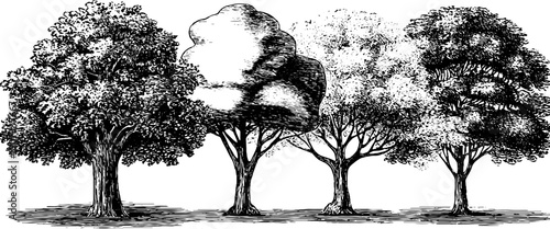 Four seasons allegory with botanical symbolic figures for art and design