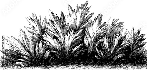 Crystalline frost texture with botanical elements in vintage hand drawn engraving style for winter decor