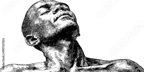 Tranquil expression and poised stance in vintage botanical style - hand drawn etching art