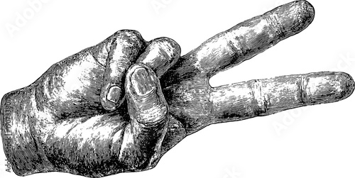 Vintage botanical hand gesture illustrating peace and stillness for design purposes