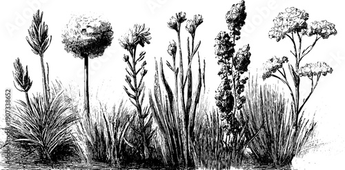 Botanical nature cycle in vintage minimal composition