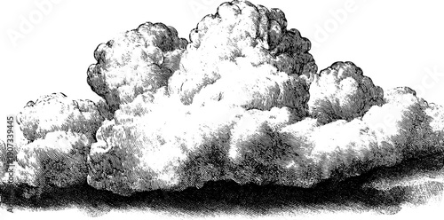 Vintage rain clouds botanical engraving silhouette art for design and print