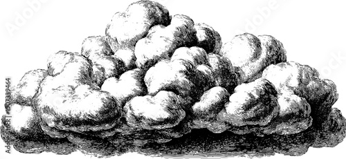 Vintage botanical illustration of low hanging rain clouds for design