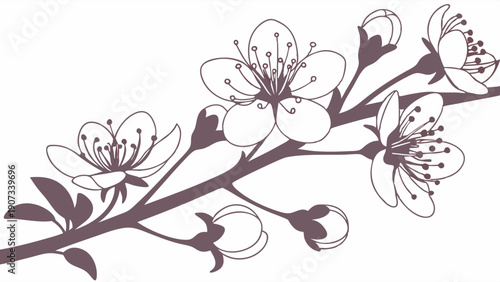 Delicate Cherry Blossom Branch Spring Bloom Outline for Wedding Invitations Spa Branding Nature Designs