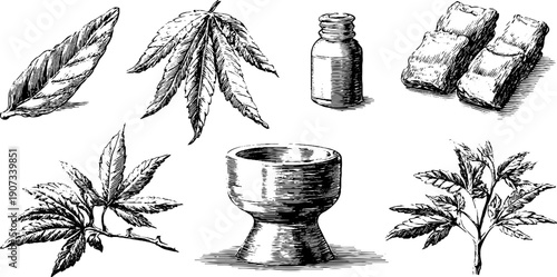 Vintage botanical ritual symbols set for minimalist design