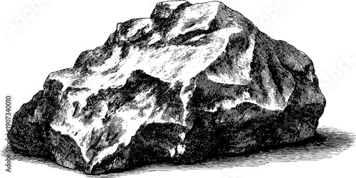 Vintage botanical engraved broken statue fragment for design and decoration