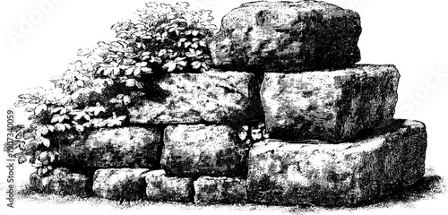 Weathered stone botanical sculpture with vintage engraving style