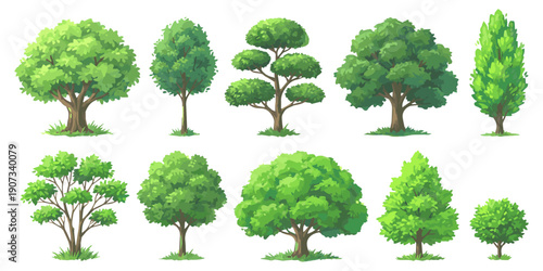 Collection of diverse green trees in various shapes and sizes, representing different species and growth stages, isolated on white background
