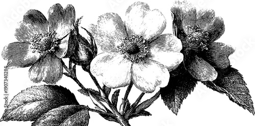 Timeless botanical allegory in classical style for seasonal decor