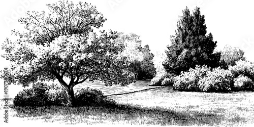 Vintage botanical engraving of seasonal transition from spring to summer