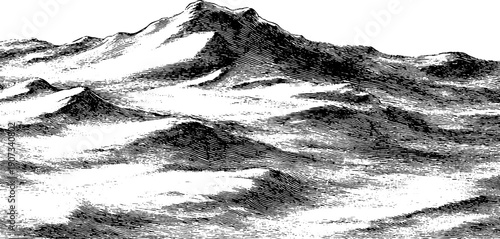 Wind shaped snowdrift forms in vintage botanical style for winter design