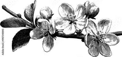 Vintage spring allegory with flowering branches botanical design for posters and cards