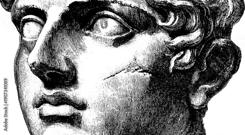 Simplified facial planes of statue with vintage botanical engraving art style