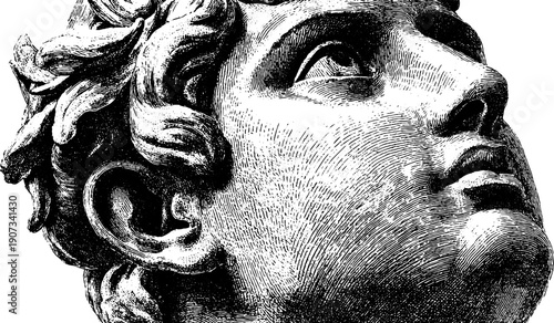 Vintage botanical engraving of timeless statue head with calm presence