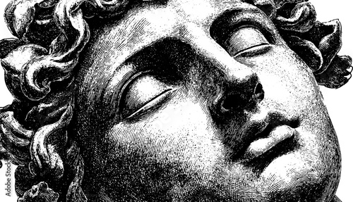 Vintage botanical engraving of timeless statue head for artistic design