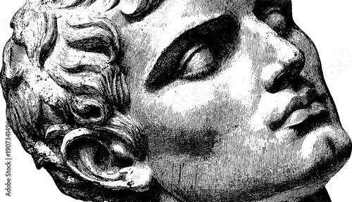 Vintage botanical engraving of statue head reflecting timeless calm presence