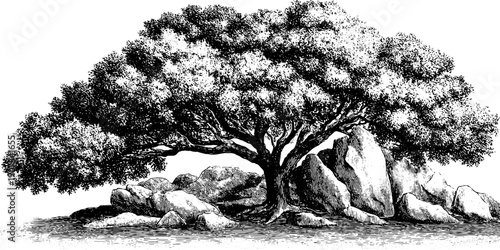 Vintage stone sculpture and botanical scene with monumental presence for artistic design