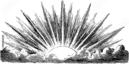 Vintage sun rays emission with botanical elements engraving for retro design